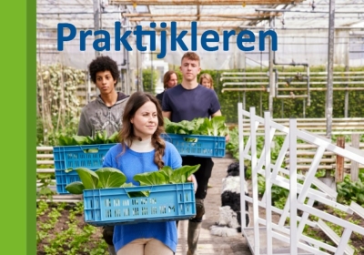 praktijkleren